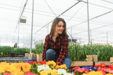 Beautiful young smiling Florists woman, worker with flowers in greenhouse. Concept work in the greenhouse, flowers.