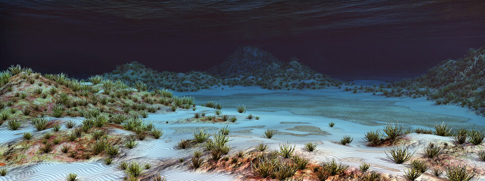 Meeresboden mit Korallen