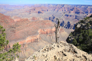 Grand Canyon National Park in Arizona, USA