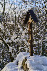 Wonderful day with snow sun trees reflections and great clouds