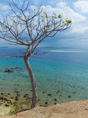 Stunning view, crystal clear blue water and white sand beach at Pulo Mesah Island Flores Indonesia