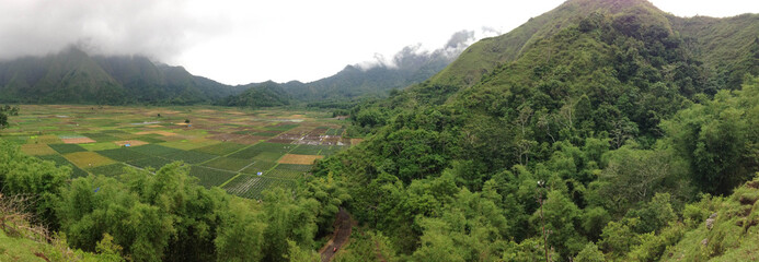 a stunning panoramic scene, mountain and rice field from Sembalun Lombok Indonesia