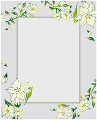 百合の花　フレーム　枠