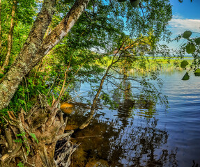 Lake Otradnoe, located in the Leningrad region
