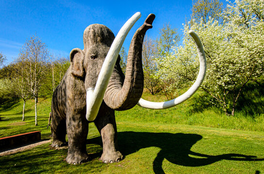 Mammut in der Gartenschau in Kaiserslautern
