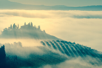  Foggy Valley silhouette in the morning landscape, Tuscany, Italy, Europe