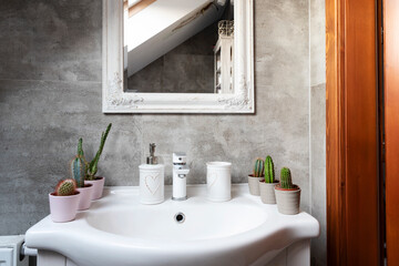 Bathroom sink with cactus and faucet and mirror on grey tiles on the wall in interior of small...