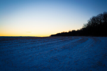 Fototapeta na wymiar Dawn snowy field in winter.