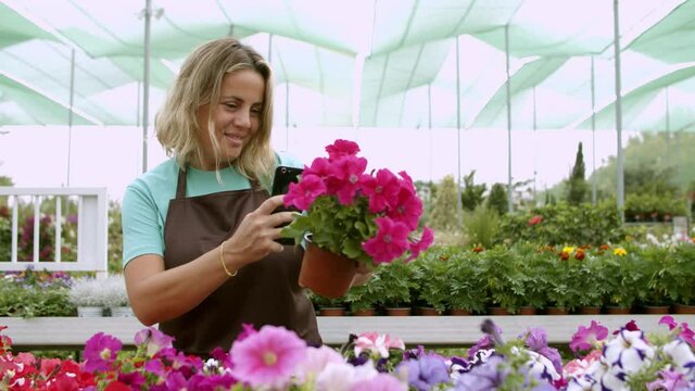 Cheerful woman holding petunia and shooting plant on phone. Happy gardener in uniform taking photo of blooming flowers in hothouse. Front view. Commercial gardening and digital technology concept