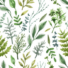 Naklejka na ściany i meble Garden and forest greenery seamless pattern. Hand drawn watercolor elements texture. Natural background with leaves, branches and herbs.