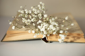 Opened old book with white gypsophila flowers on table close-up