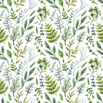 Garden and forest greenery seamless pattern. Hand drawn watercolor elements texture. Natural background with leaves, branches and herbs.