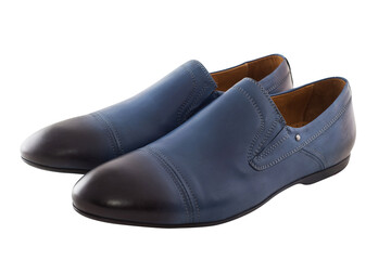 isolated mens leather loafer shoes