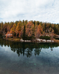 autumn trees reflected in water