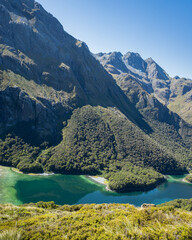 Stunning views of Lake Mackenzie from Routeburn Track, South Island. Vertical format.