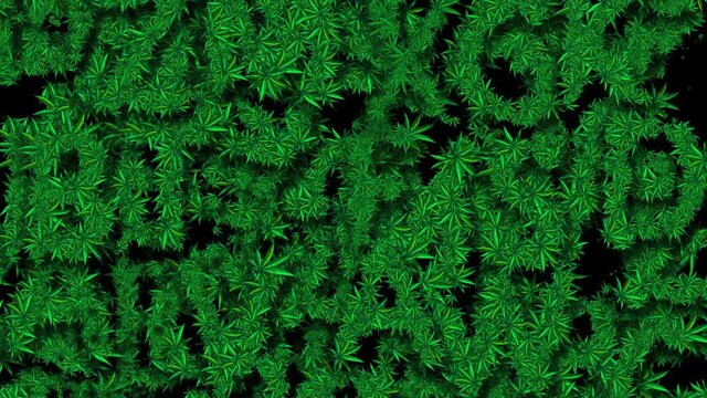 Wall from Cannabis Alphabet 3 - Perfect Looped Legalize