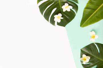 Tropical background with palm leaves monstera and flower.