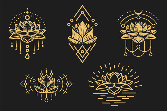 Lotus design on sale