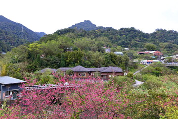 Jingtong Japanese style architecture, a popular destination in New Taipei City Taiwan