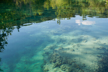 Nature Reflected on the Lake. Plitvice Lakes National Park, Croatia