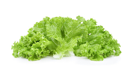 lettuce salad leaves on white background