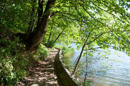 Walkway in Plitvice Lakes National Park, Croatia