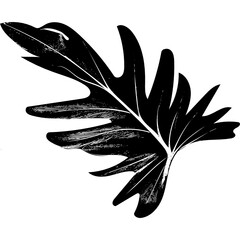 Hand drawn leaf