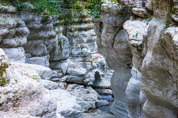 White cliffs and mountain crystal clear, shallow river in a wild place in the mountains in summer in a dense forest in summer