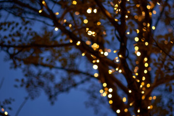 イルミネーション