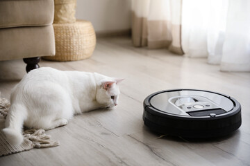 Modern robotic vacuum cleaner and cute cat on floor indoors - obrazy, fototapety, plakaty