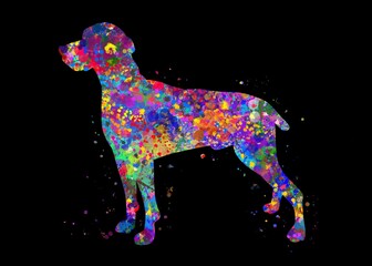 Weimaraner Dog watercolor, black background, abstract painting. Watercolor illustration rainbow, colorful, decoration wall art.
