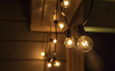 Decorative outdoor string lights hanging on tree in the garden at night time