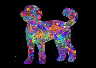 Labradoodle Dog watercolor, black background, abstract painting. Watercolor illustration rainbow, colorful, decoration wall art.
