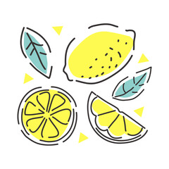 Juicy lemon on a white background with leaves. Lemon slices. Contour abstract illustration.