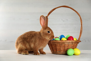 Cute bunny and basket with Easter eggs on white table