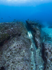 Submarine cables between rocks (Rangiroa, Tuamotu Islands, French Polynesia in 2012)