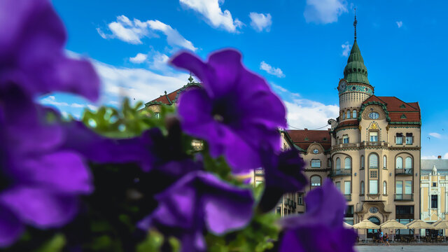 old town Oradea