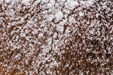 Brown horse fur during winter snowfall. Snowy horse skin, full-frame