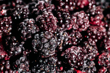 Frozen berries of garden blackberry close up
