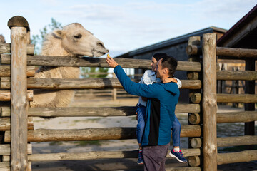 Beautiful little girl feeding humped camel in an aviary at the zoo