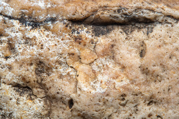 Background with the surface of a piece of light stone with small holes in soft focus under high magnification