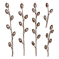 Spring set with hand-drawn sketches of young willow twigs on a white background. Engraving style. Vector illustration.