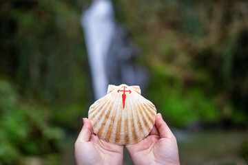 Hands holding a shell with the symbol of camino de santiago. Hike, way of St James