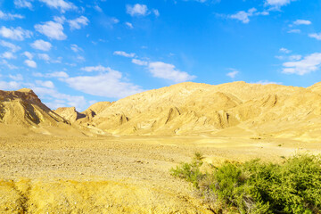 Landscape, in Makhtesh Ramon (Ramon Crater)
