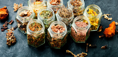 Medicinal herbs in herbal medicine