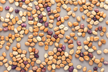 Legumes are scattered in the background, natural background of brown and purple beans, top view
