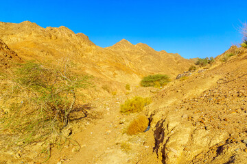 Desert landscape near Eilat
