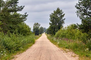 Fototapeta na wymiar rural dirt road in summer cloudy day, landscape