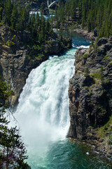 Yellowstone national park, Wyoming, the most important park in U.S.A.