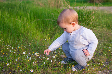 Baby  Playing In A Field Of Spring Flowers. Spring Concept